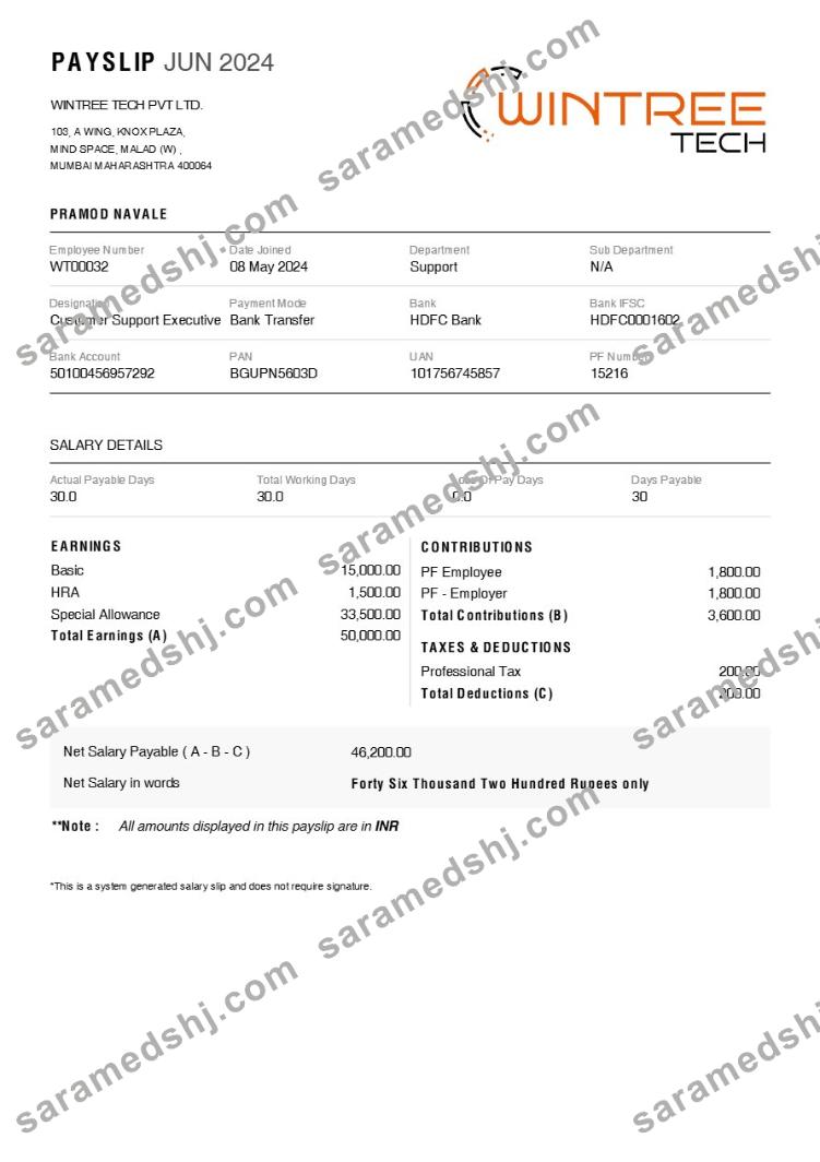 Wintree Tech payslip template in Word and PDF formats.pdf, 1